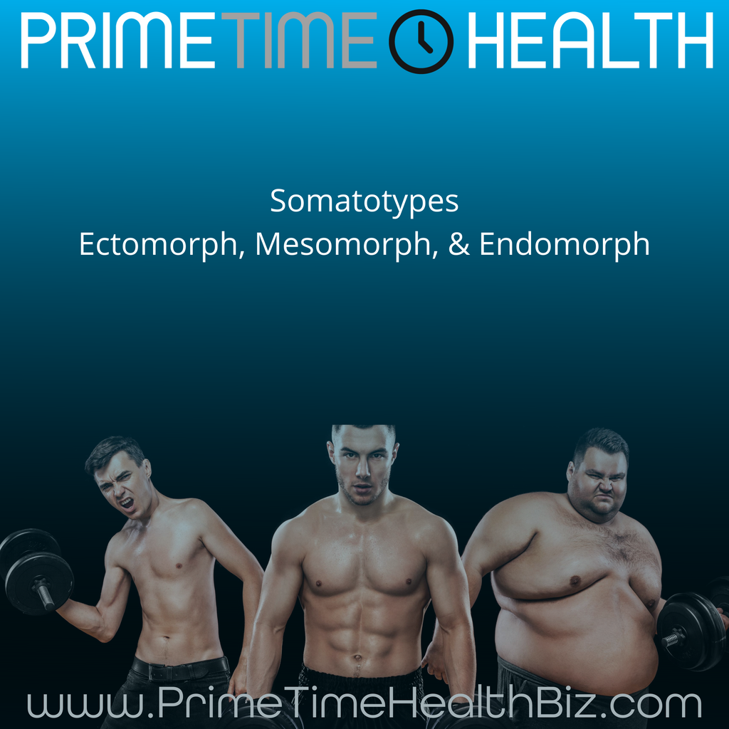 Somatotypes: Ectomorph, Mesomorph, & Endomorph